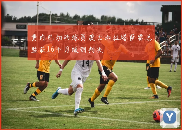 费内巴切两球员袭击加拉塔萨雷总监获16个月缓刑判决
