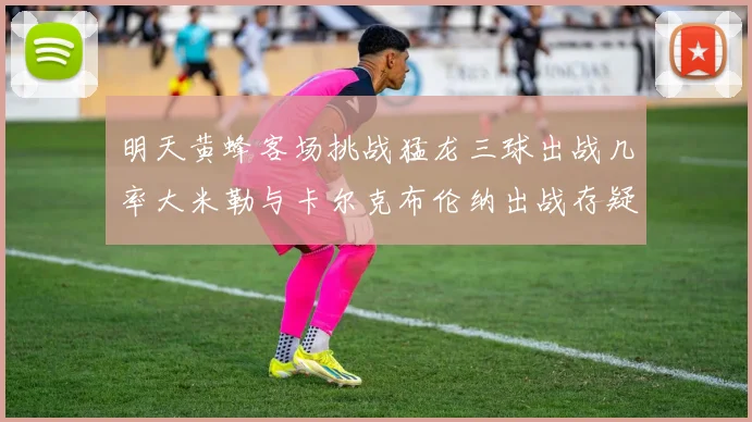 明天黄蜂客场挑战猛龙三球出战几率大米勒与卡尔克布伦纳出战存疑