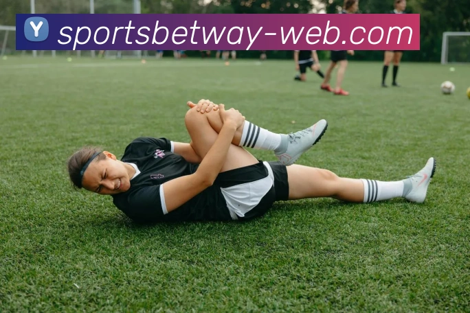 必威体育服务体系