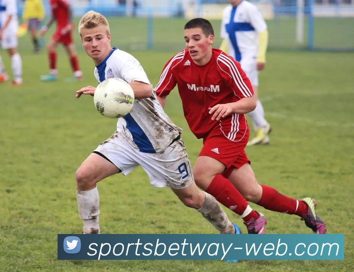 必威体育APP 体育赛事宣传图